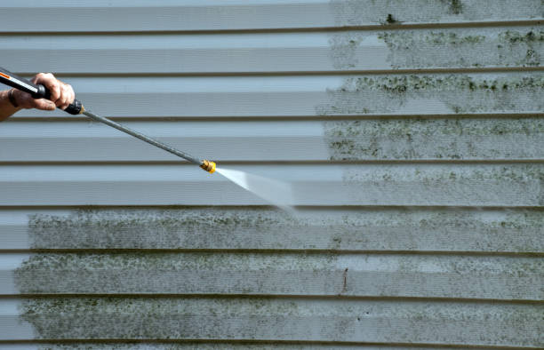 Best Mold Cleaning Services  in Rockwood, MI