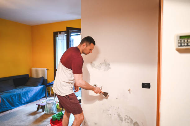 Professional Mold Removal in Rockwood, MI